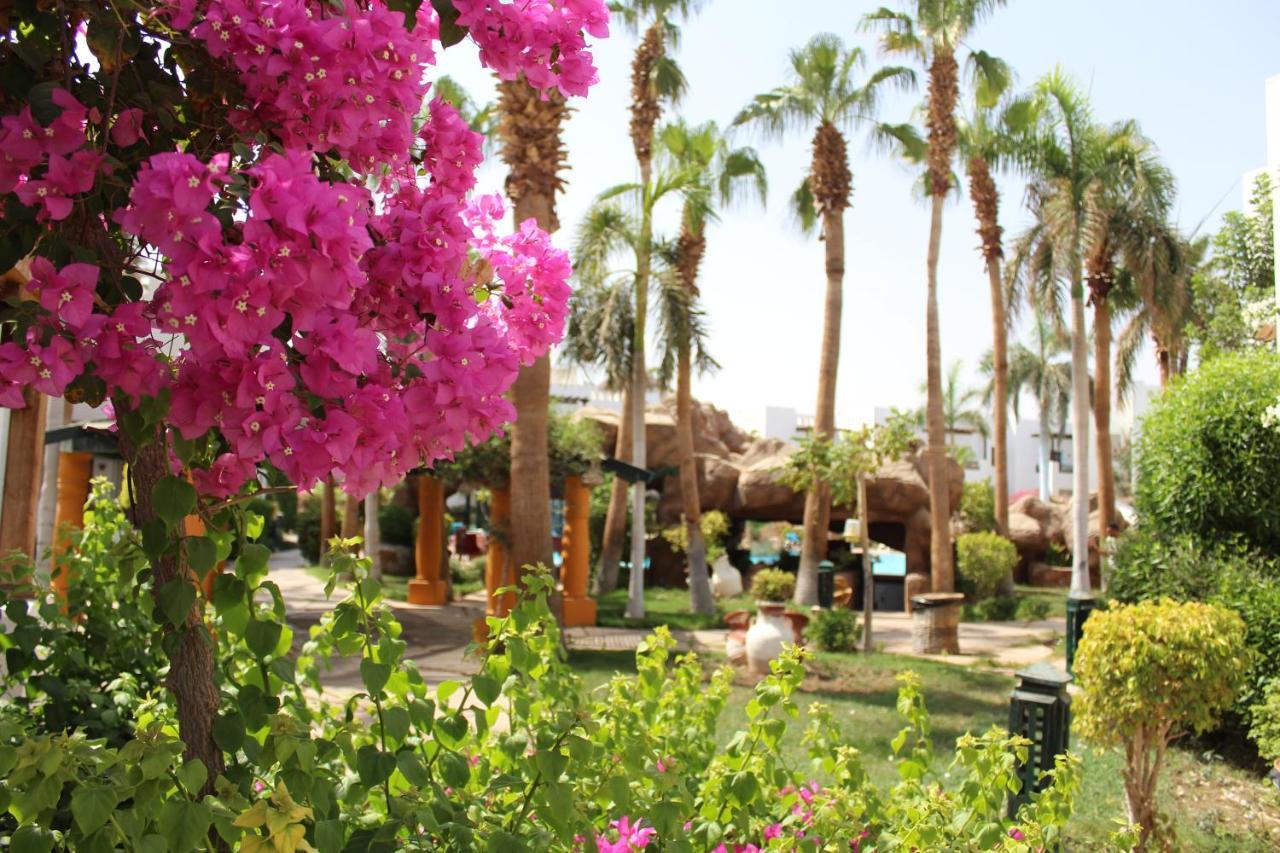 Herrmes Hospitality Sharm el-Sheikh Bagian luar foto